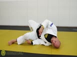 Xande's Turtle and Back Defense 3 - Bridge to All Fours